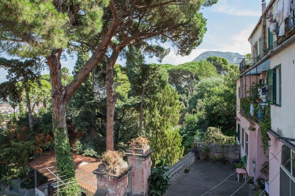 Apartmán Casa Panoramica Castellammare di Stabia Exteriér fotografie
